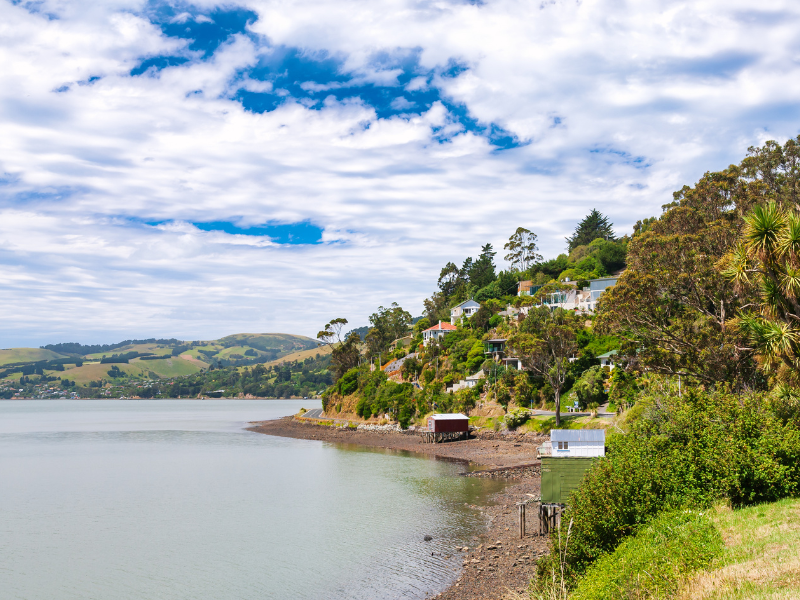 <b>Isola del Sud 2</b> - da Picton a Christchurch extended — 10